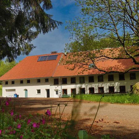 منزل الضيف Gorwihl  في Schwarzwald Escape المظهر الخارجي الصورة