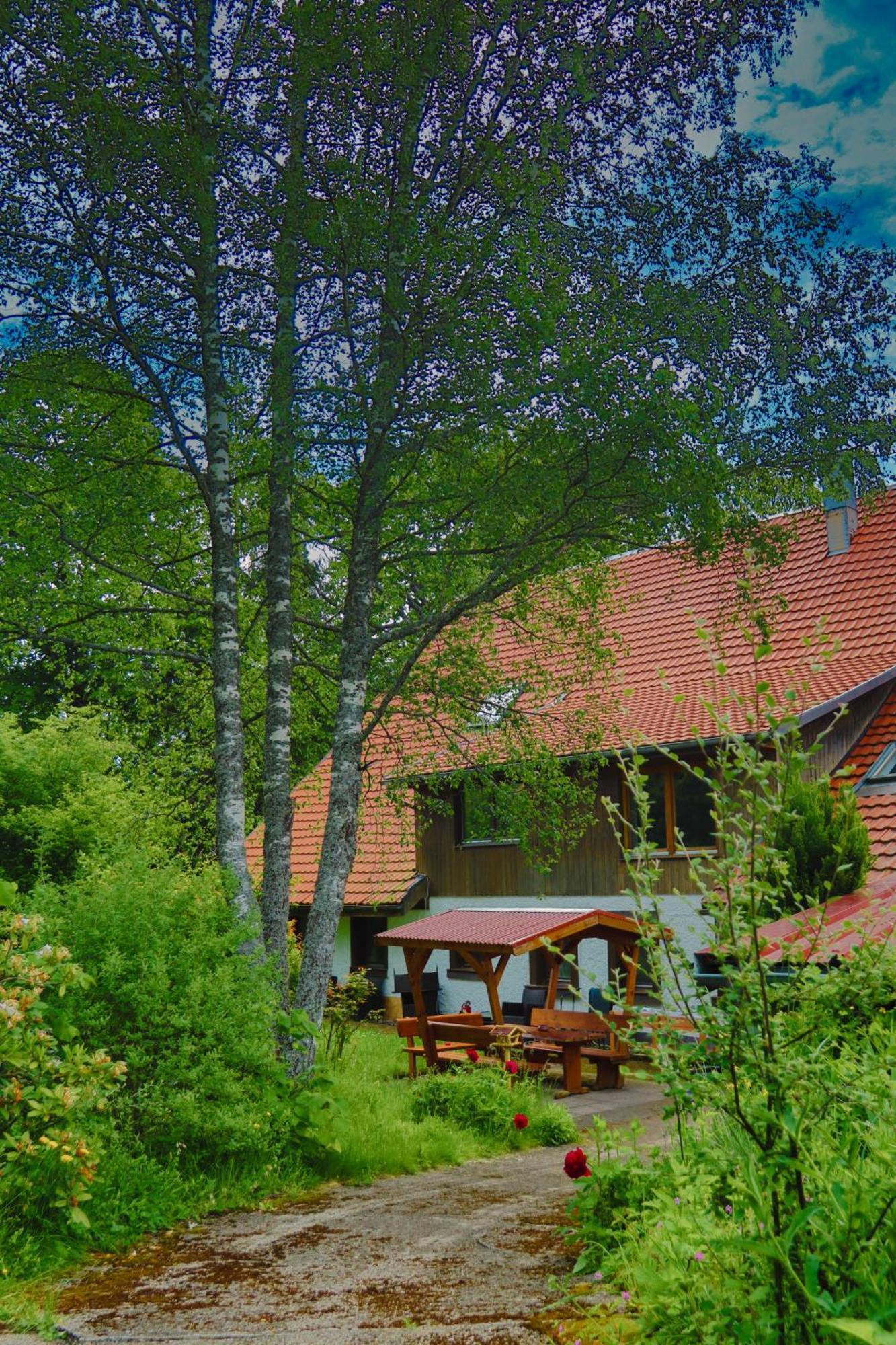 منزل الضيف Gorwihl  في Schwarzwald Escape المظهر الخارجي الصورة