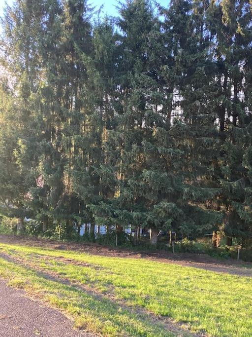 منزل الضيف Gorwihl  في Schwarzwald Escape المظهر الخارجي الصورة